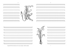 Faltbuch-Schneeglöckchen-blanko-2-SW.pdf